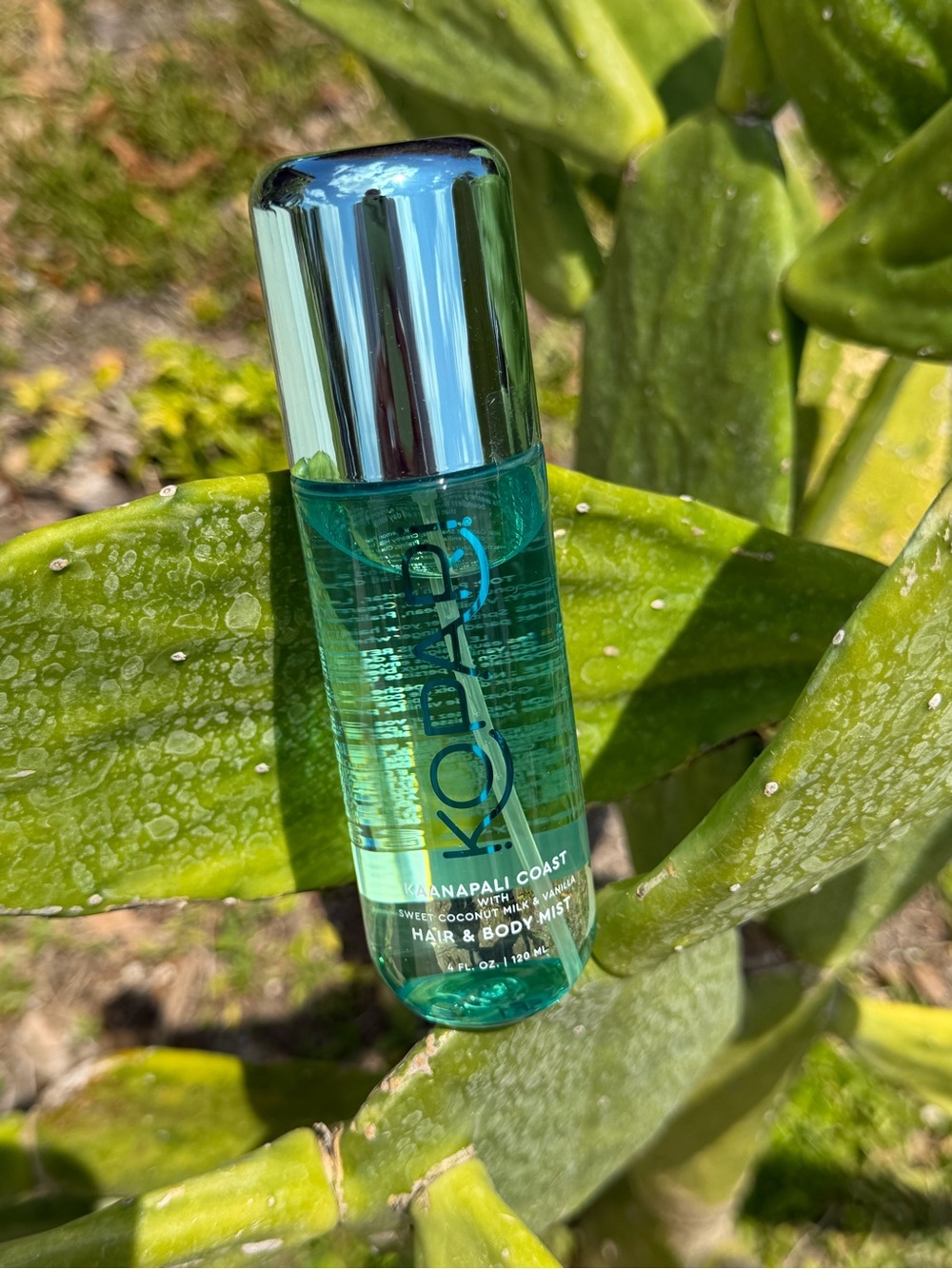 KOPARI BEAUTY Hair & Body Mist 4fl.oz - Picture 3 of 11